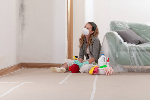 Reliable Mold Testing contractor in Broomfield, CO by WQB Mold Removal