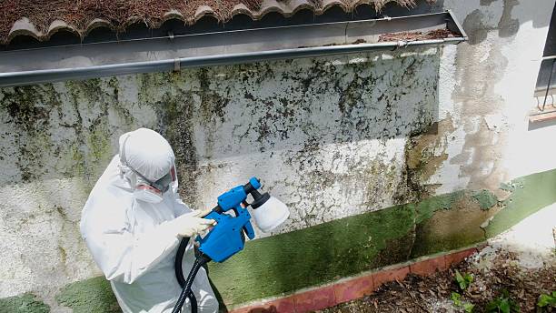 Top rated local Mold Testing specialists in Broomfield, CO